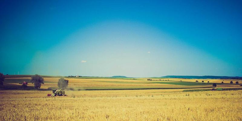 B2B内容获客白皮书：电商服务与运营如何通过行业白皮书与案例研究高效捕获销售线索