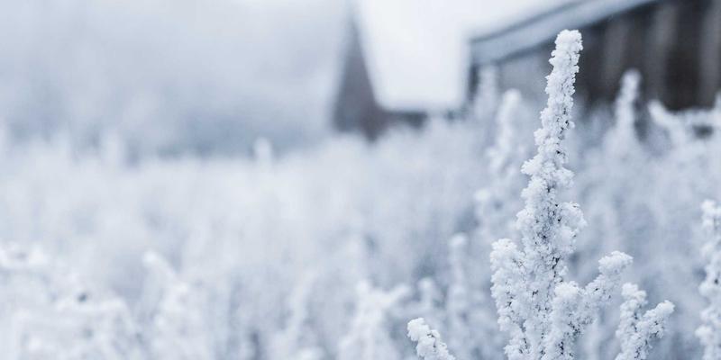 LinkedIn B2B营销进阶指南：从公司页运营到精准销售线索挖掘，赋能网络营销与电商服务增长