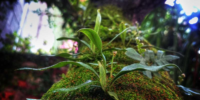 SEO优化+社交媒体营销+电商运营：三驾马车驱动企业官网冲上百度首页