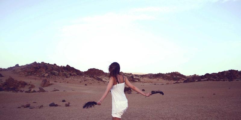 TJCJS168实战指南：中小型企业如何用有限预算搭建高效网络营销与社交媒体营销体系