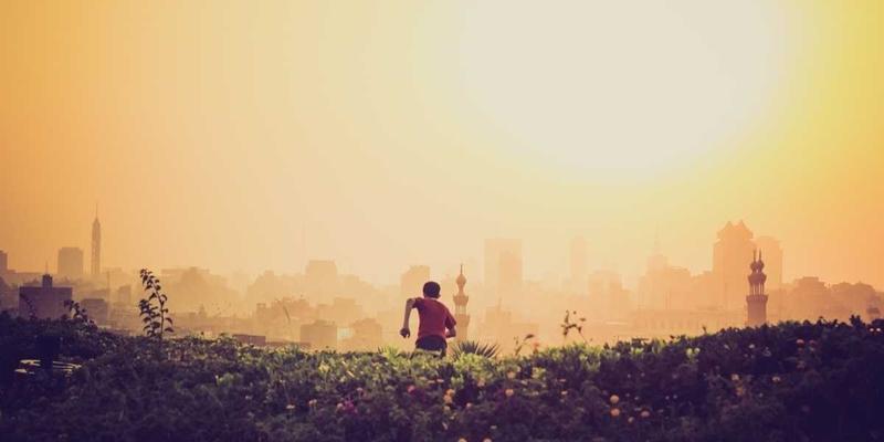 TJCJS168电商服务实战指南：社交媒体营销如何驱动网络营销增长