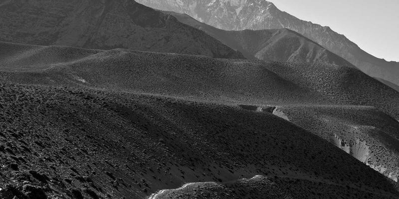 如何利用营销心理学提升落地页转化率：SEO与电商服务的网络营销实战指南