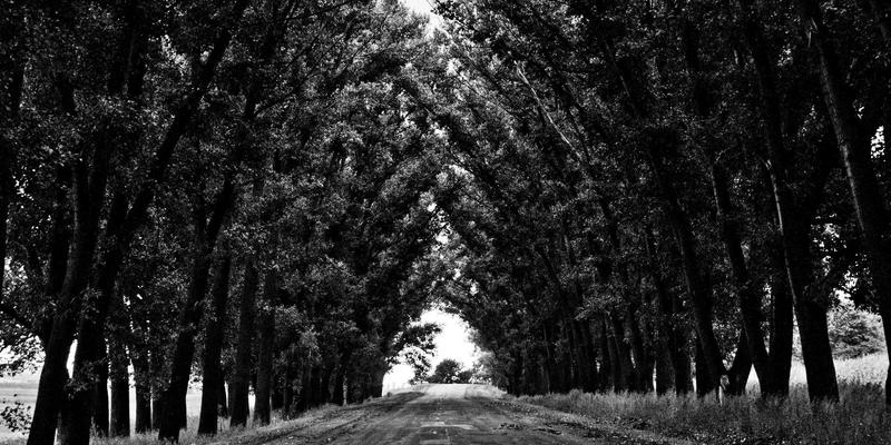 电商服务如何通过故事叙述提升SEO与社交媒体营销效果