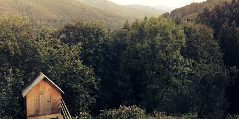 电商运营与社交媒体营销双引擎驱动：信息流广告的精准定向与效果优化策略