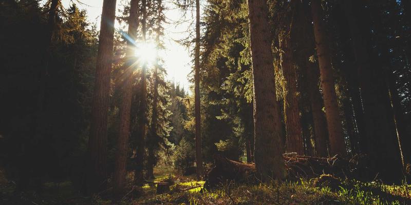 电商运营与社交媒体营销必读：网络营销合规指南，掌握数据隐私与广告法规最新实践