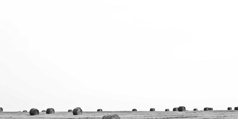 电商运营新路径：拆解小红书内容种草到企业微信私域引流的完整策略