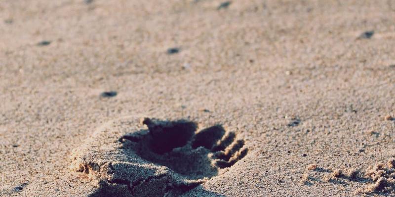 社交媒体营销与电商服务：如何选择归因模型实现网络营销精准评估