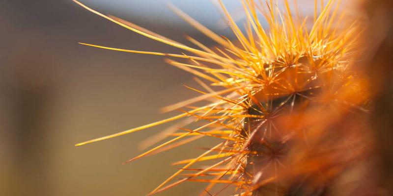 网络营销新纪元：社交媒体、电商服务与SEO的融合与前景