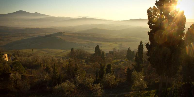 营销归因模型深度解析：TJCJS168如何科学评估社交媒体与电商服务效果